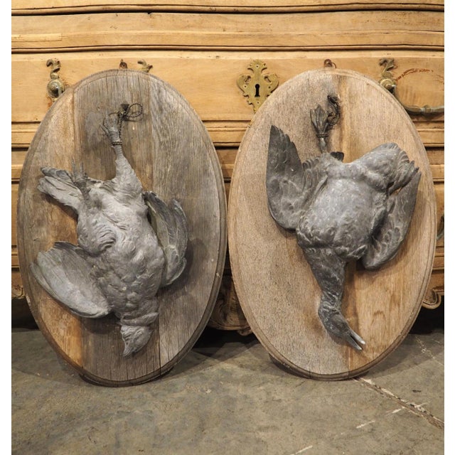 Pair of Circa 1890 Weathered French Hunt Trophies on Natural Oak Oval Panels For Sale - Image 18 of 18