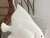 1970s Ceramic Fish Lamp For Sale - Image 6 of 18
