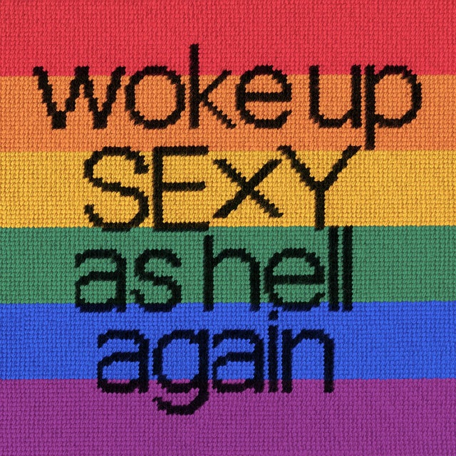 Contemporary Rainbow Velvet "Woke Up Sexy as Hell Again" Original Feather Down Pillow For Sale - Image 3 of 4