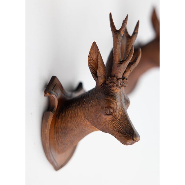 Pair of Antique Black Forest Carved Deer Head Trophy Plaques, Circa 1900 For Sale In Houston - Image 6 of 7