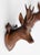 Pair of Antique Black Forest Carved Deer Head Trophy Plaques, Circa 1900 For Sale In Houston - Image 6 of 7