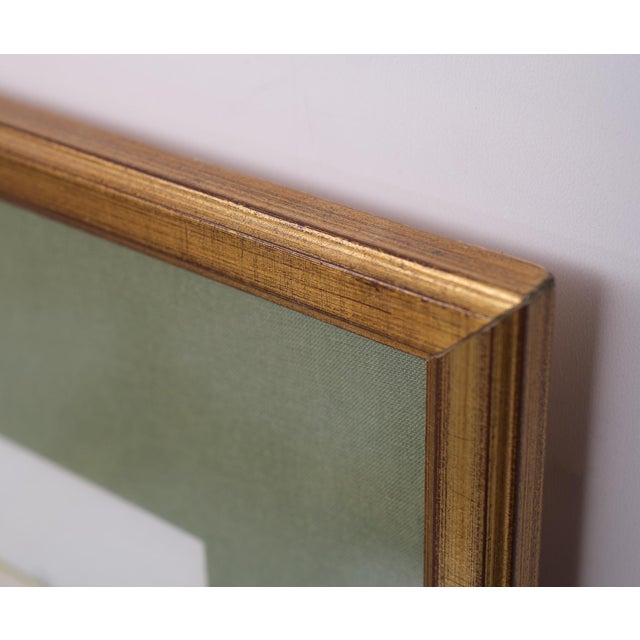 Elisabeth Haussard, Plant Illustrations, 1780, Engravings, Framed, Set of 2 For Sale - Image 11 of 16