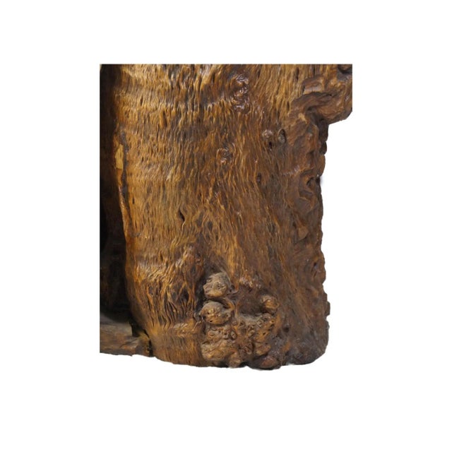 20th Century Chinese Enhanced Burl Tree Trunk Pot For Sale - Image 11 of 12