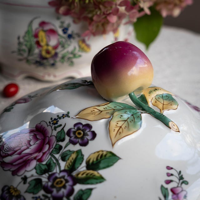 Antique French Soup Tureen from Lunéville, Early 20th Century For Sale - Image 9 of 18