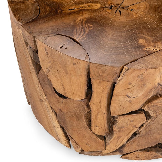 Contemporary Organic Modern Teak Fragment Round Coffee Table For Sale - Image 3 of 8