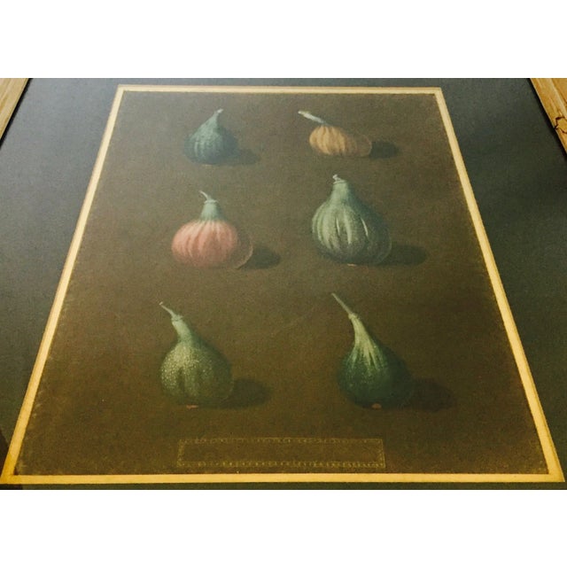Early 19th Century Hand Colored Stipple Aquatint Engravings by George Bradshaw - 2 Pieces For Sale In San Francisco - Image 6 of 10