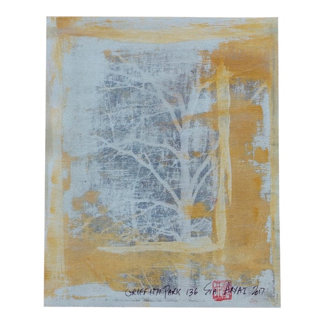 "Griffith Park #136" Abstract Print For Sale