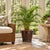 A substantial 1980's glazed terracotta garden planter with deeply modeled basketweave decoration, a rich variegated brown...