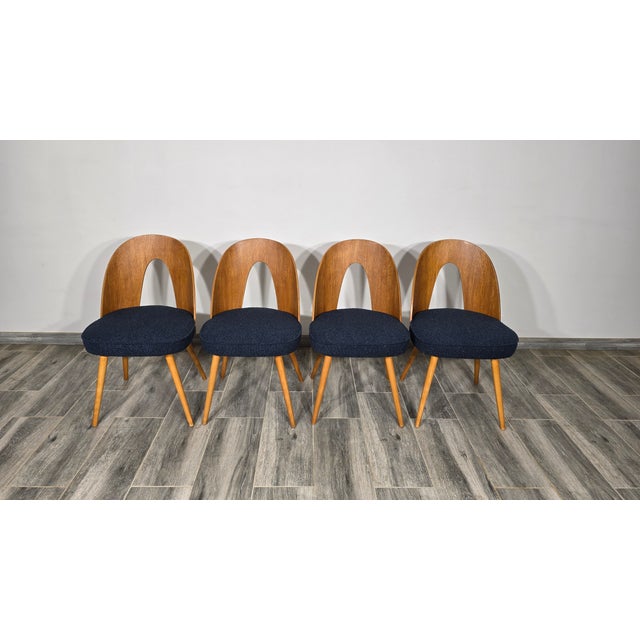 Set of Dining Chairs by Antonin Suman, 1960s For Sale - Image 11 of 12