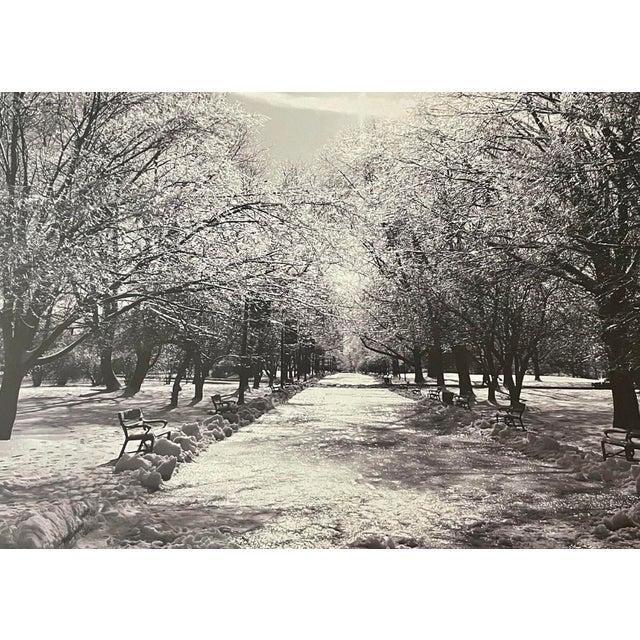 Black Late 20th Century Signed Gelatin Silver Print ‘Washington Park’ by Anita MacDonald – Framed Black & White Winter Landscape Photograph For Sale - Image 8 of 10