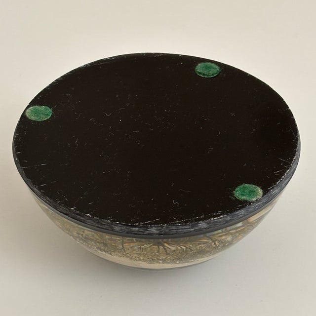 Vintage Botanical Resin Paperweight With Pressed Queen Anne's Lace For Sale In Baltimore - Image 6 of 17