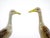 Ceramic Large Pair English Glazed Porcelain / Terracotta Duck Statues For Sale - Image 7 of 13