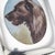 Metal Antique 20th Century Edwardian Silver Vesta Case with Enamel Detailing, 1903 For Sale - Image 7 of 12