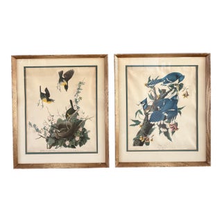 Pair of Vintage Framed Bird Illustration Lithographs by John James Audubon For Sale