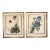Pair of Vintage Framed Bird Illustration Lithographs by John James Audubon For Sale