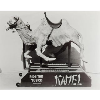 1950's Tusko Kamel Kiddie Ride Photograph For Sale