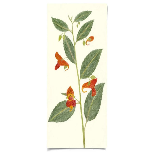 Contemporary Hubbard Flower 841 Artwork, Unframed Artwork For Sale - Image 3 of 3