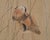 Japanese Taishō/Shōwa Painting Flock of Ducks in Winter Pond For Sale - Image 4 of 18