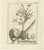 Fruits of the Theban Palm, 1776, Paper For Sale - Image 10 of 10