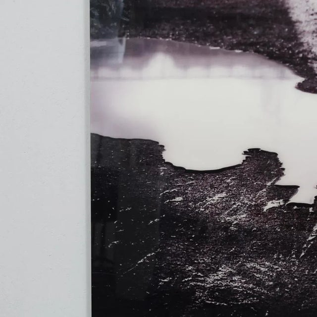 Early 21st Century Ivana Vostrakova, Spring Swimming, 2013, Archival Pigment Print For Sale - Image 5 of 7