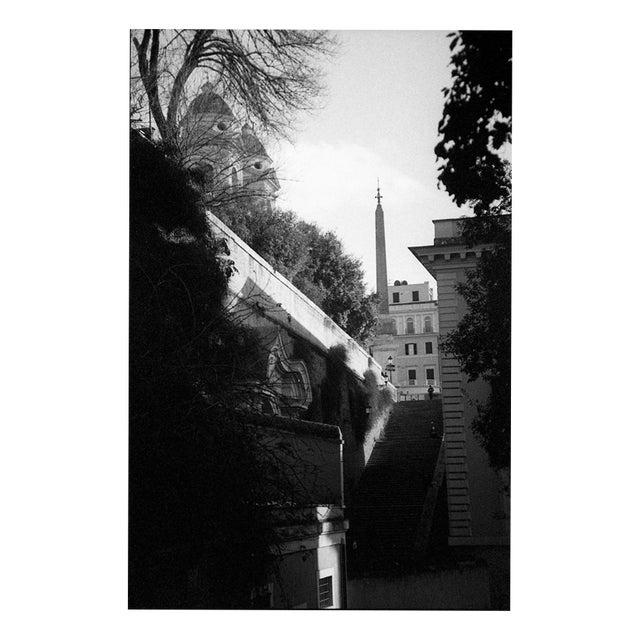 Paul Cooklin, Rome Italy 00149, Edition of 50 For Sale