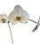 Vintage Hand Painted Potted Tole Orchid Floral Arrangement / Flower Sculpture / Object For Sale In Dallas - Image 6 of 9