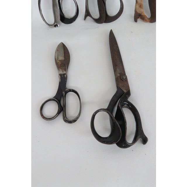 Early 1900s Fabric Tailor Heavy Duty Vintage Collectible Scissors 4577b For Sale - Image 16 of 18