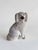 Two vintage Staffordshire style dogs (not a pair, however they are similar). Larger one has more age (please see photos).