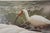 Carl Brenders "Shoreline Quartet - White Ibis" Signed Limited Edition Print, 1990 For Sale - Image 4 of 11