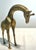MCM Solid Brass Andrea by Sadek Giraffe Figurine For Sale - Image 4 of 5