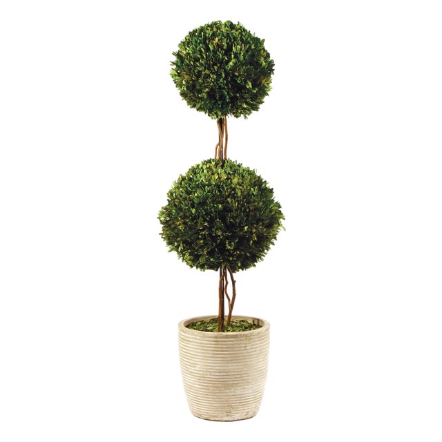 Boxwood Double Sphere Topiary 28" For Sale