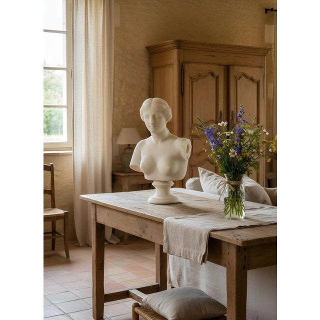Italian Grand Tour Carved Alabaster Bust of Venus of Milo, 20th Century For Sale - Image 4 of 18