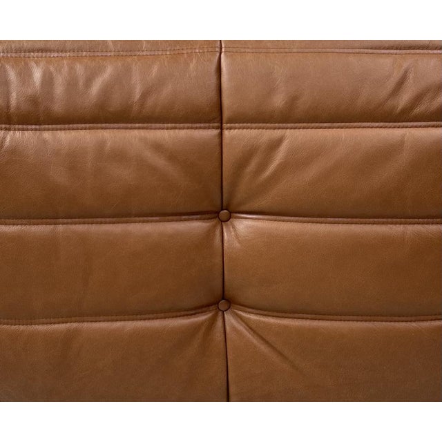 French Togo Lounge Chair in Brown Leather by Michel Ducaroy for Ligne Roset For Sale - Image 10 of 12