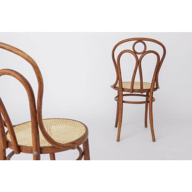 Brown Stained Beech Bentwood Angel Chairs with Vienna Cane Seats, 1940s, Set of 2 For Sale - Image 8 of 9