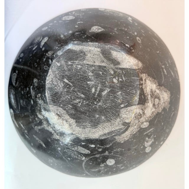Modern 12” Orthoceras Fossil Stone Bowl For Sale - Image 3 of 5