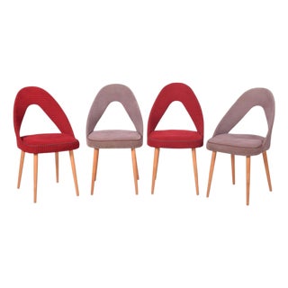 Mid-Century Chairs in Beech, Czech, 1950s, Set of 4 For Sale