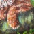 Wood Irene Van Genderen-Van De Wilt, Orange Cat Painting, 2000s, Canvas and Beech For Sale - Image 7 of 17