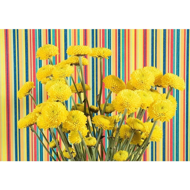 8 editions and 2AP Archival inkjet print on metallic paper Signed back by Artist It comes with a Certification of...