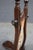 Rare Antique Victorian Ebonized Walnut Boot Jack For Sale - Image 9 of 15