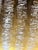 2020s Hand Dyed Gold Velvet Ikat Design Pillow With New Insert For Sale - Image 5 of 8