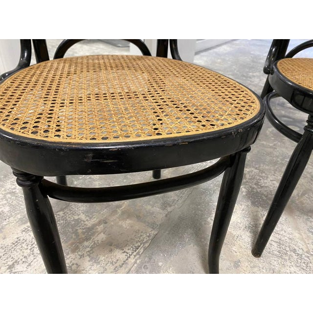 Black Vintage Chairs in Curved Beech with Vienna Straw Seat, 1980s, Set of 4 For Sale - Image 8 of 10