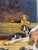 Bronze Antique Oil Painting on Board Hound Dog With Puppies For Sale - Image 8 of 12