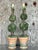 Vintage Regency Topiary Lamps - A Pair For Sale - Image 11 of 11