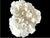 Contemporary Natural White Coral Reef Specimen #7 For Sale - Image 3 of 10