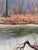 Green Vintage Original Forest Landscape Oil Painting, Circa 1960s For Sale - Image 8 of 13
