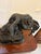 1920s Antique Bronze Cowboy on Bucking Horse Figurine, 1920 For Sale - Image 5 of 13