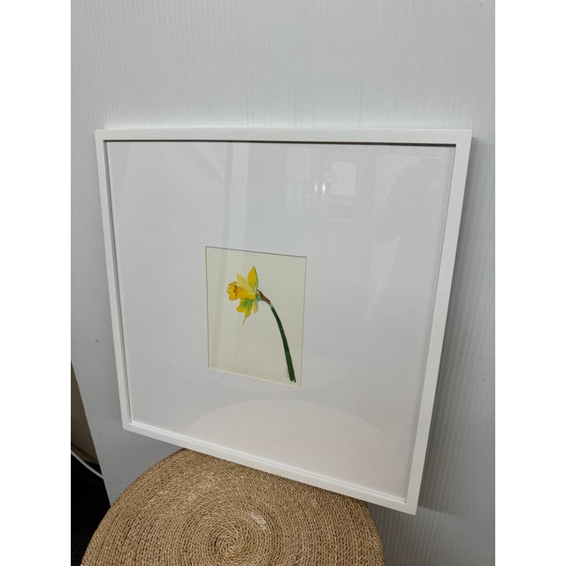 Realism Isabel Wyatt Daylight Daffodil Original Painting, Signed For Sale - Image 3 of 12