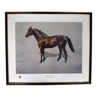 Mill Reef Winner of the Derby Stakes 1971 by Susan Crawford Provenance: The Susie Hilfiger Collection For Sale