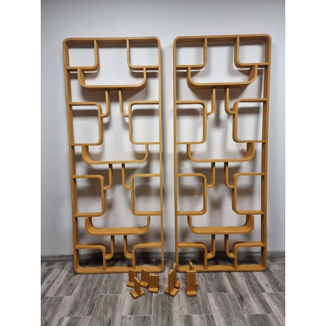 Room Dividers by Ludvik Volak for Drevopodnik Holesov, 1950s, Set of 2 For Sale - Image 12 of 12