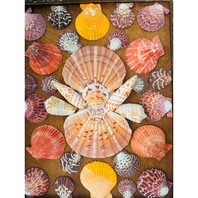 1920s Antique Frame With Shell Art For Sale - Image 5 of 6